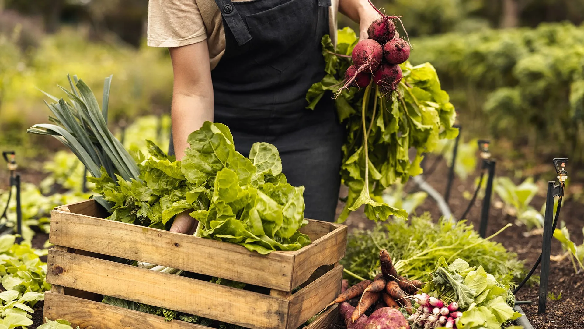 Fruits et légumes frais se trouvent dans le haut du panier du baromètre de  confiance